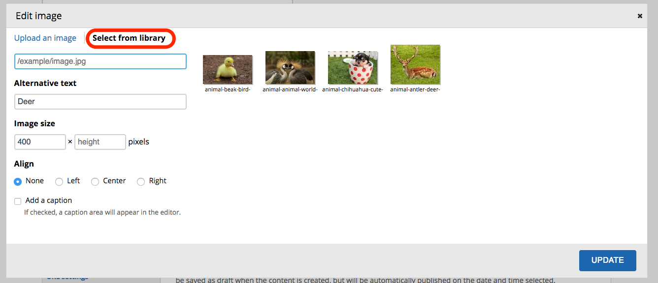 New Image Browser in Backdrop 1.11.0